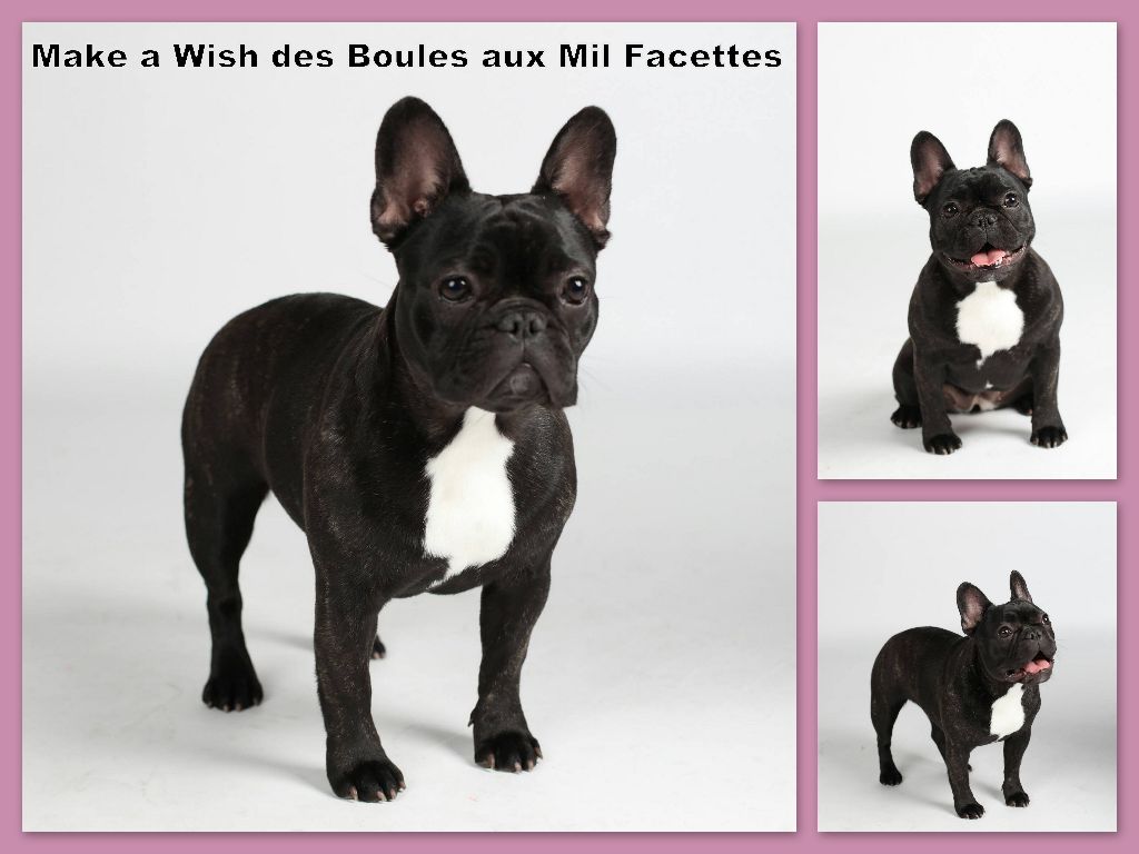 Make a wish des boules aux mil facettes