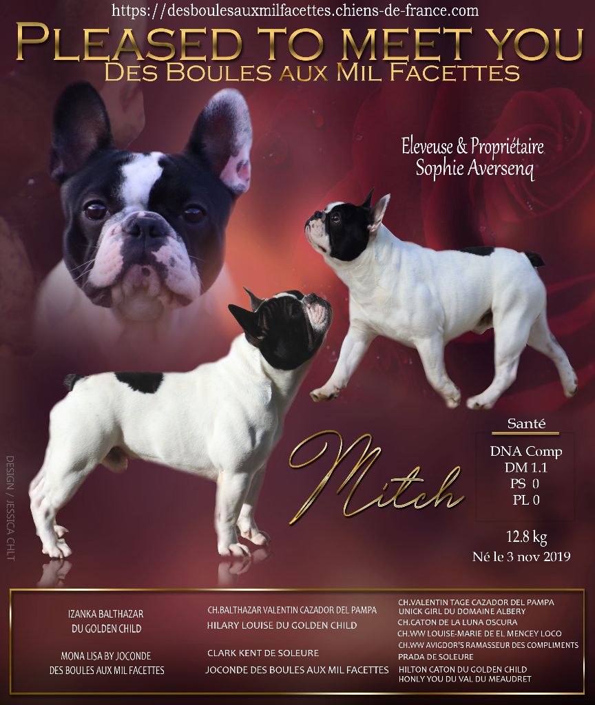 Pleased to meet you des boules aux mil facettes