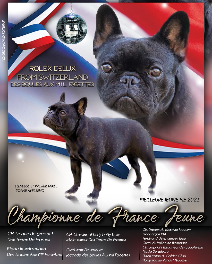CH. Rolex delux from switzerland des boules aux mil facettes