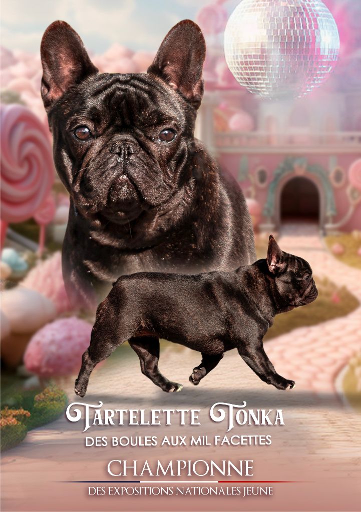 Tartelette tonka des boules aux mil facettes