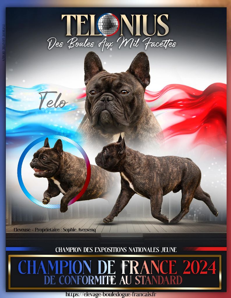 Télonius des boules aux mil facettes