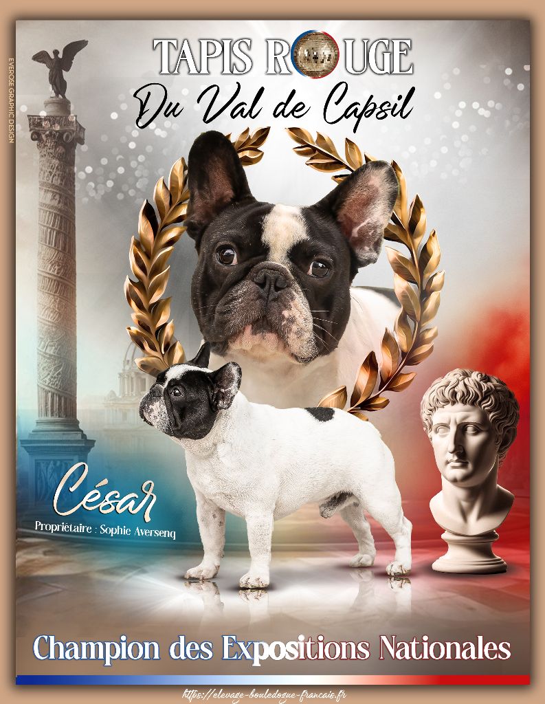 CH. Tapis rouge Du Val De Capsil